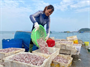 Đảo xanh: Bài 4 Hành động xanh nơi đảo tiền tiêu